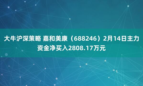 大牛沪深策略 嘉和美康（688246）2月14日主力资金净买入2808.17万元