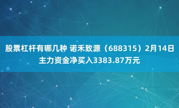 股票杠杆有哪几种 诺禾致源（688315）2月14日主力资金净买入3383.87万元