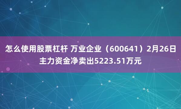 怎么使用股票杠杆 万业企业（600641）2月26日主力资金净卖出5223.51万元