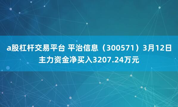 a股杠杆交易平台 平治信息（300571）3月12日主力资金净买入3207.24万元