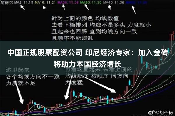 中国正规股票配资公司 印尼经济专家：加入金砖将助力本国经济增长