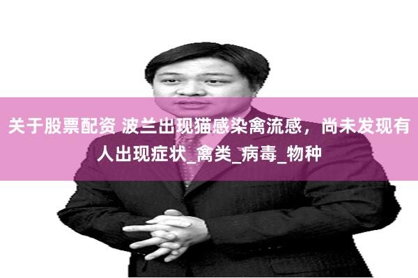 关于股票配资 波兰出现猫感染禽流感，尚未发现有人出现症状_禽类_病毒_物种