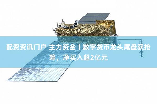 配资资讯门户 主力资金丨数字货币龙头尾盘获抢筹，净买入超2亿元