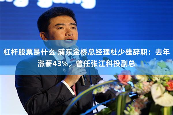 杠杆股票是什么 浦东金桥总经理杜少雄辞职：去年涨薪43%，曾任张江科投副总