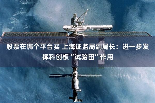 股票在哪个平台买 上海证监局副局长：进一步发挥科创板“试验田”作用