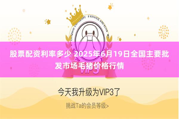 股票配资利率多少 2025年6月19日全国主要批发市场毛猪价格行情