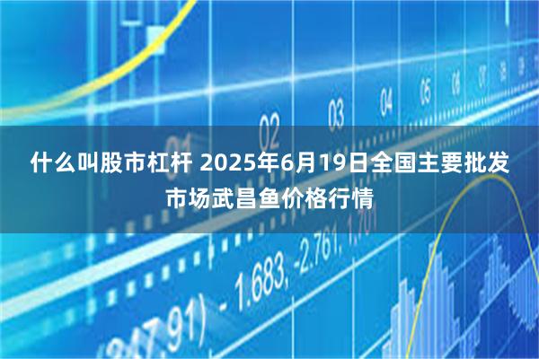 什么叫股市杠杆 2025年6月19日全国主要批发市场武昌鱼价格行情