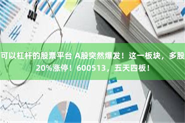 可以杠杆的股票平台 A股突然爆发！这一板块，多股20%涨停！600513，五天四板！