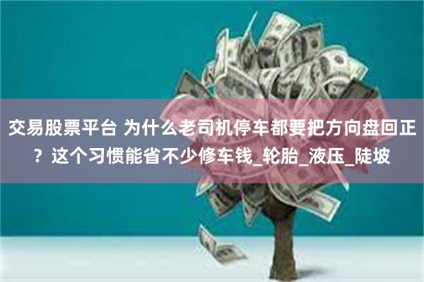 交易股票平台 为什么老司机停车都要把方向盘回正？这个习惯能省不少修车钱_轮胎_液压_陡坡